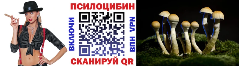 Псилоцибиновые грибы Magic Shrooms  Ладушкин 